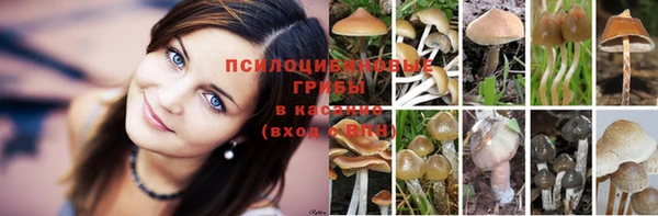 герыч Абаза