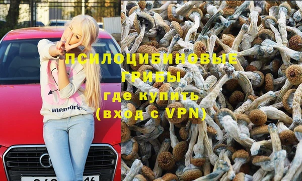 герыч Абаза