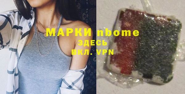 индика Абинск