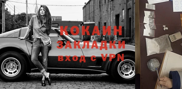 индика Абинск