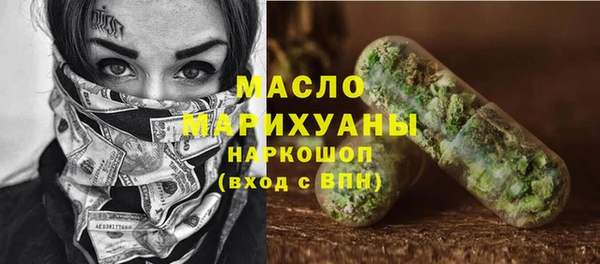 индика Абинск