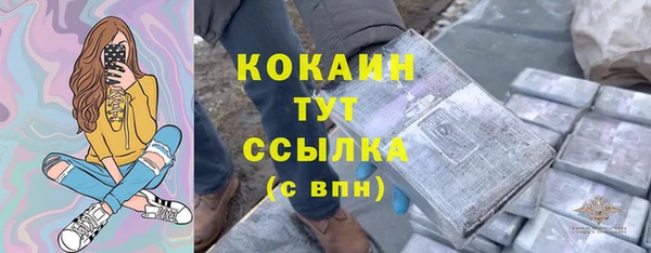 индика Абинск