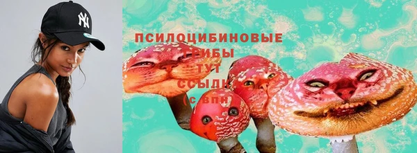 герыч Абаза