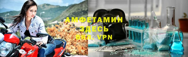 индика Абинск