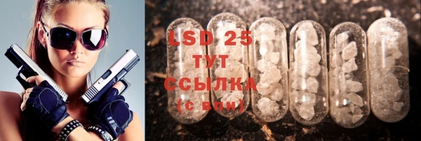 индика Абинск