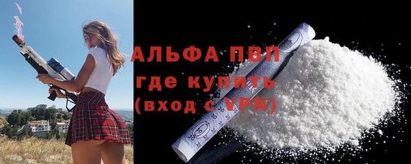 индика Абинск