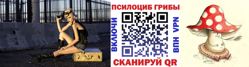Псилоцибиновые грибы GOLDEN TEACHER  Правдинск 