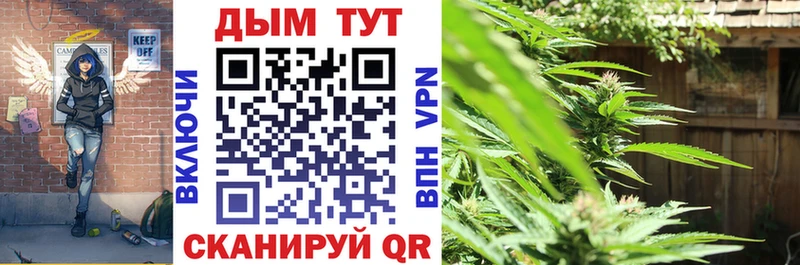 Бошки Шишки планчик  kraken ТОР  Правдинск 
